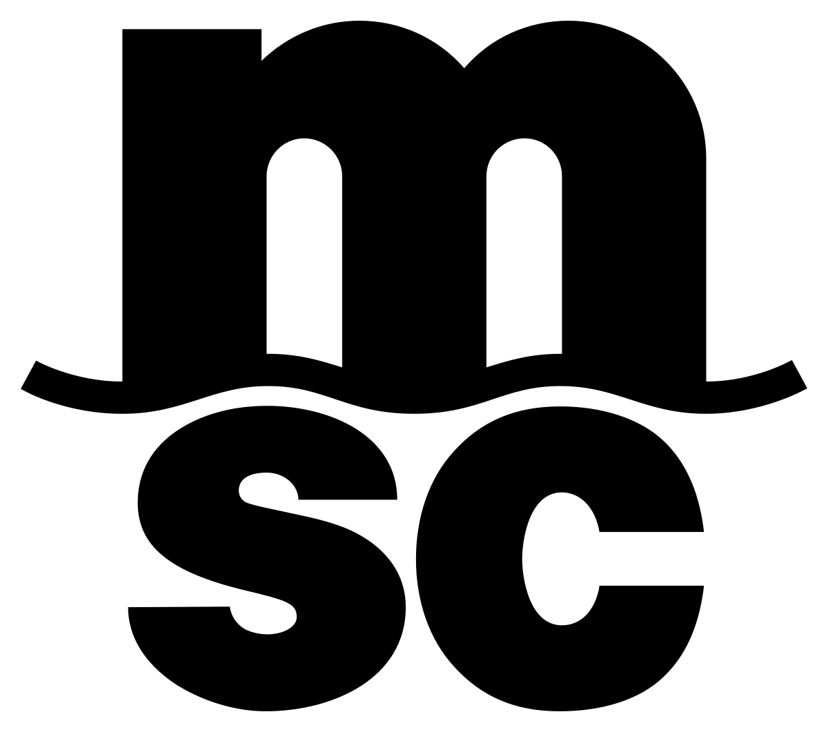 msc logo image